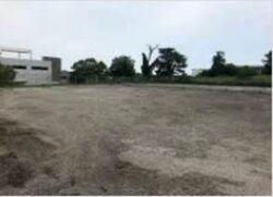Loyang Offshore Supply Base (D17), Warehouse #553560831